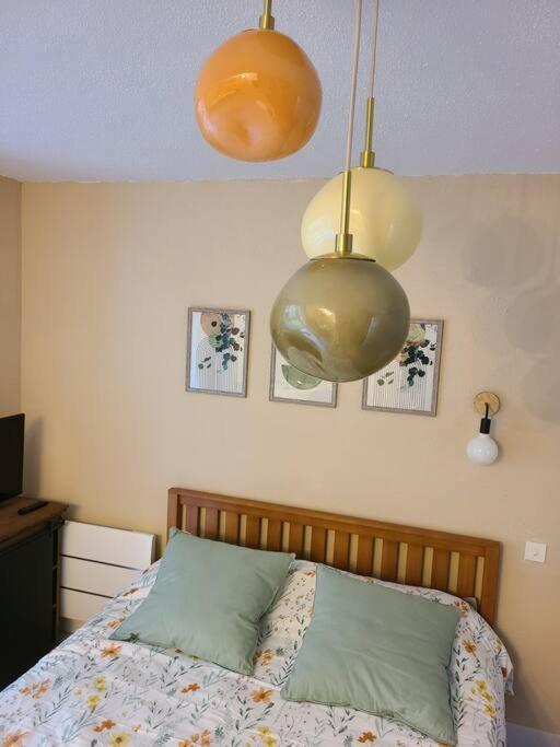 Joli Studio Renove Situe Au Pied Des Thermes Amélie-les-Bains-Palalda Екстериор снимка